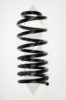 SPIDAN 49463 Coil Spring